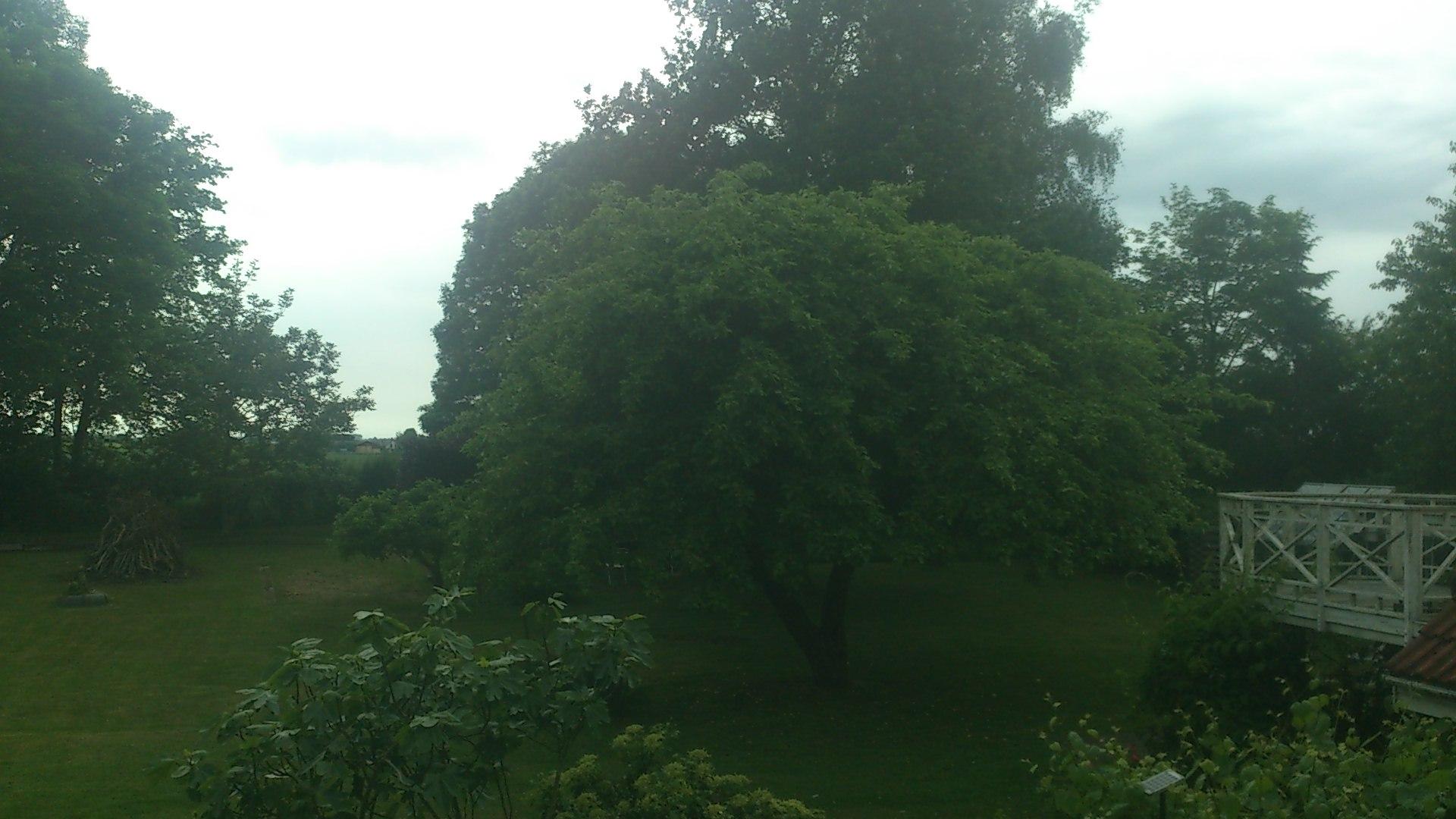 Webcam Arløse, Næstved, Sjælland, Dänemark